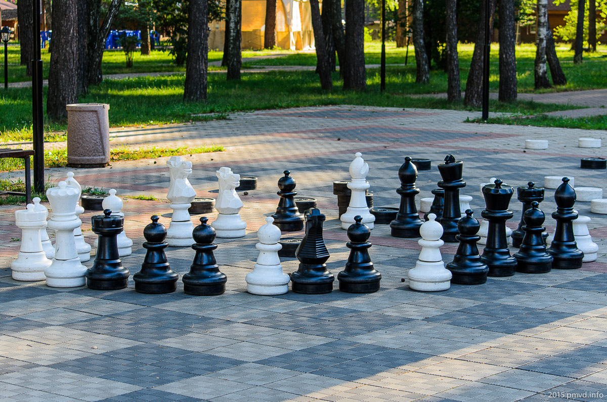 Шахматы в парке Дракино